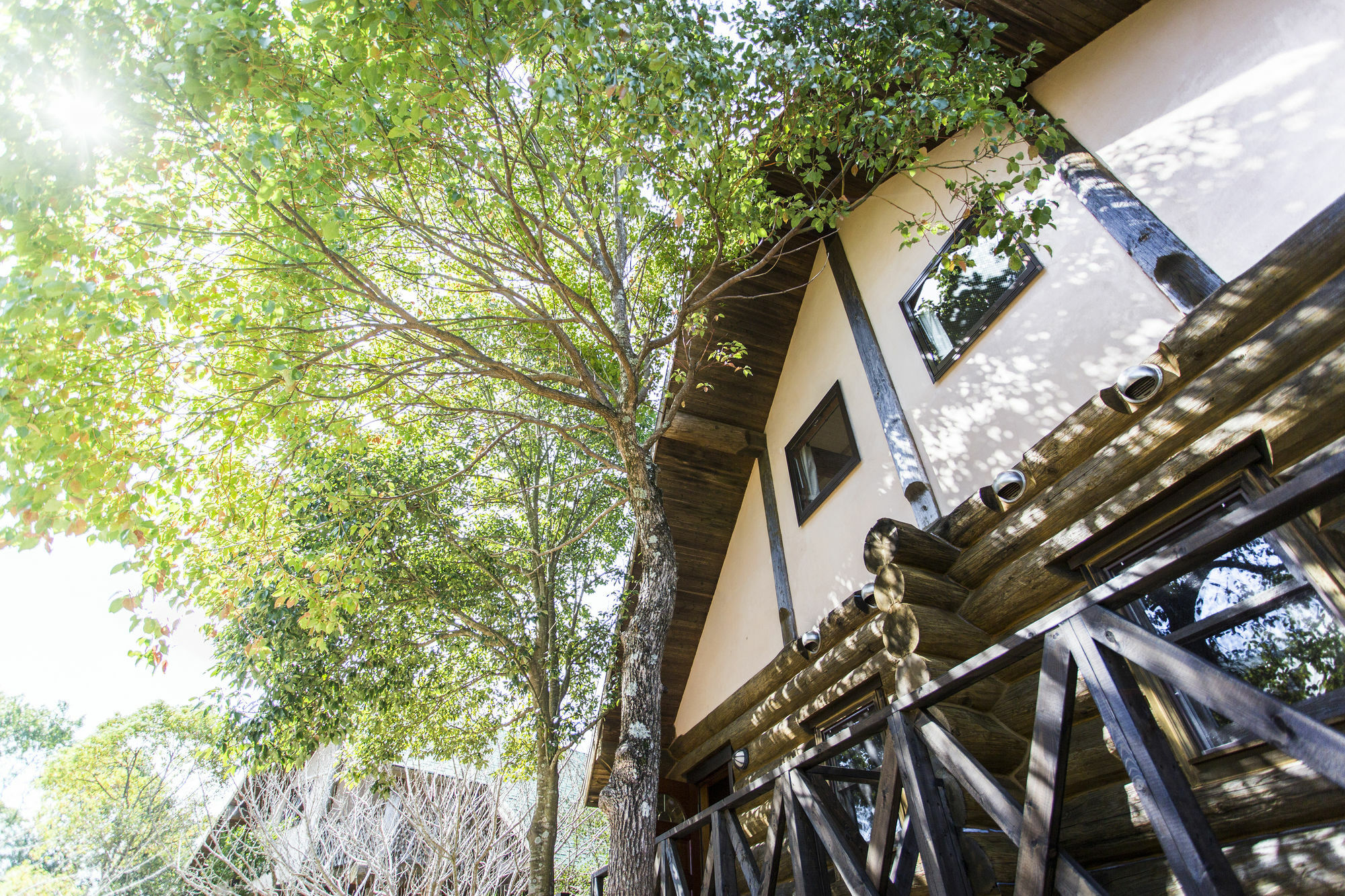Fiore Shima Shima  Exterior foto